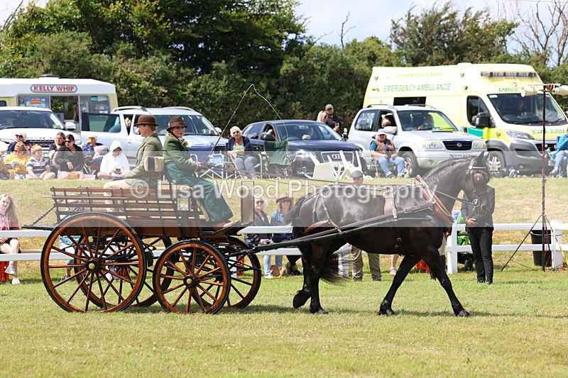 3E7A2646 - Class 12: Open Driving