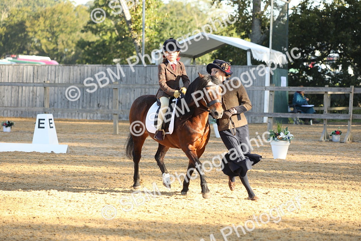 SBM_33676 - D26 - Starers - Lead Rein