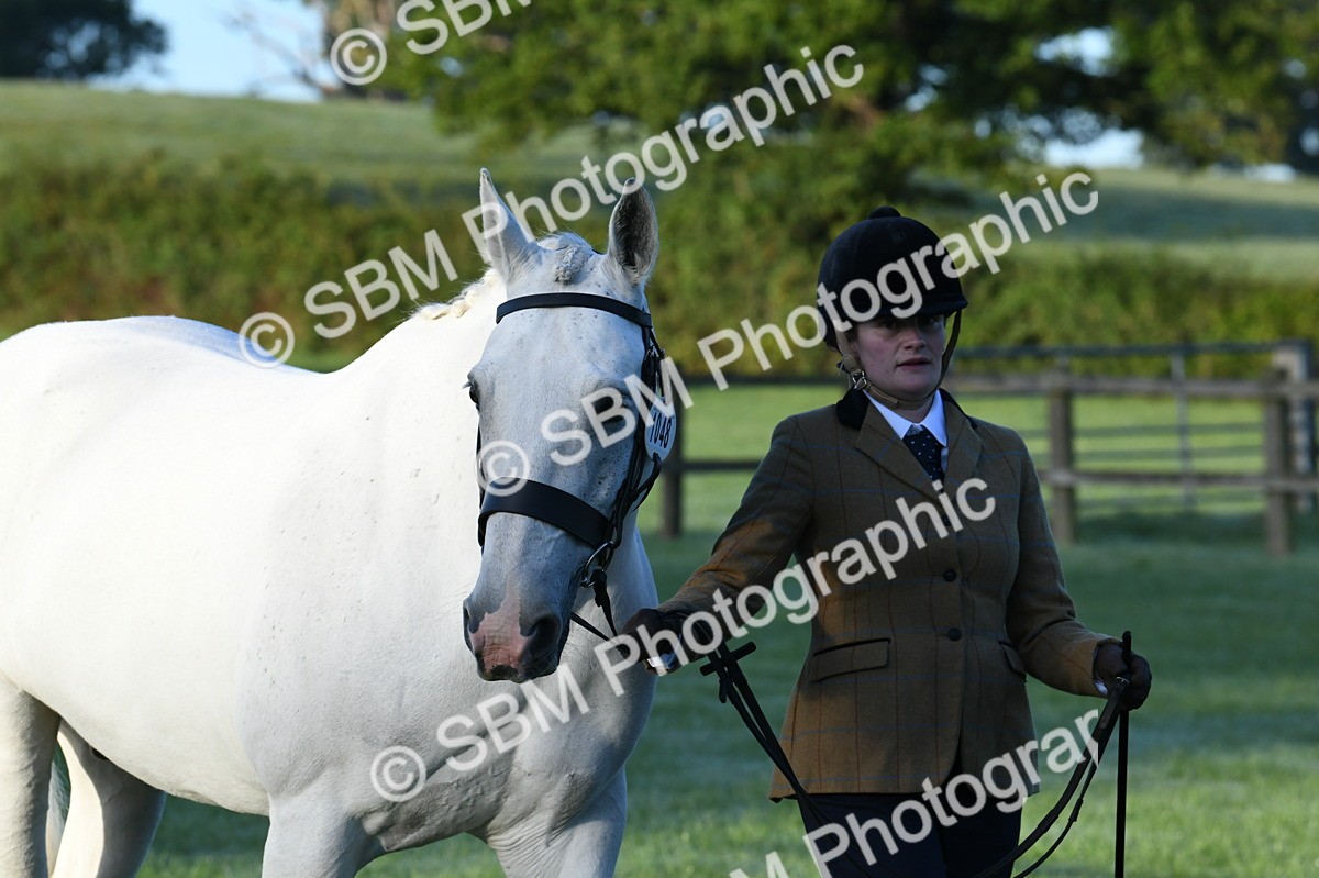 SBM_32487 - S15 - Condition & Turnout In Hand