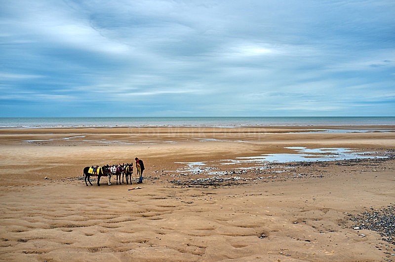 Donkeys on the Beach - Blackpool and Coast