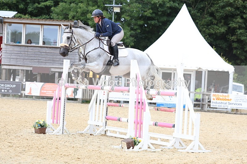3E7A6471 - Class 9: Senior Foxhunter/1.20 open