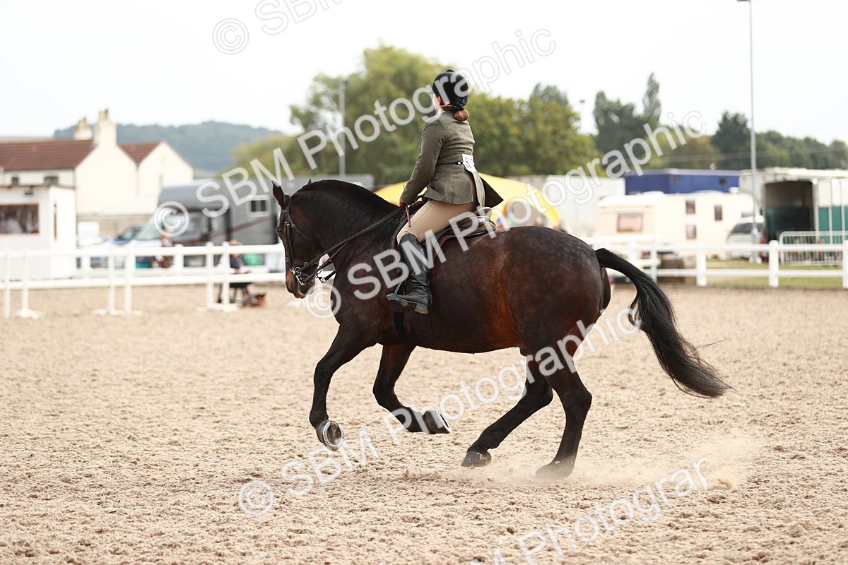 SBM_16781 - Class 214 Ridden Cob