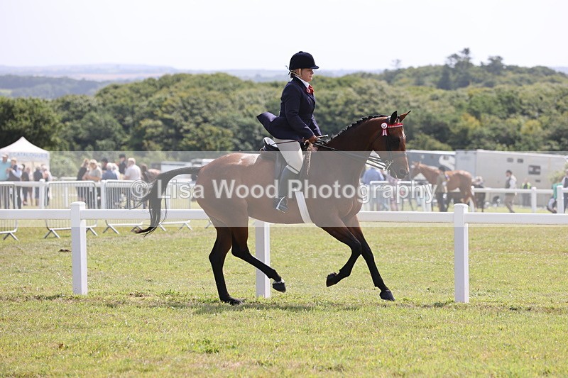 JPP_1363 - Class 17: Cornish Combination Open