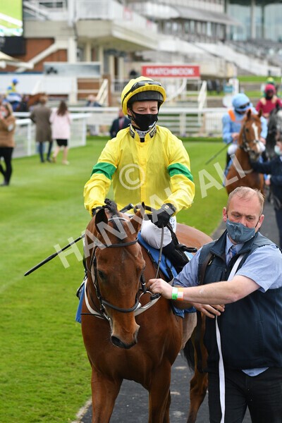 yr14052021r5-13 - Race 5 3.40pm The Jigsaw Sports Branding Handicap