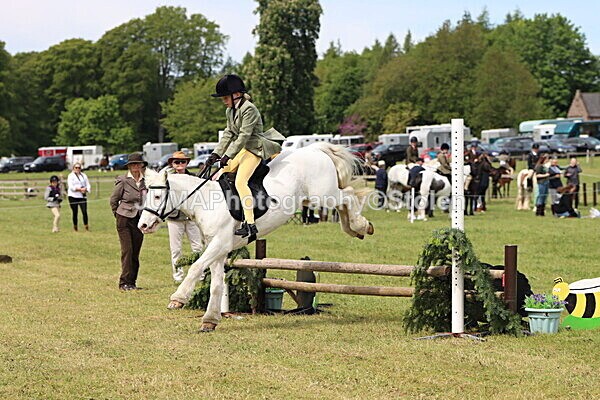 IMG_3026 - Working Hunter