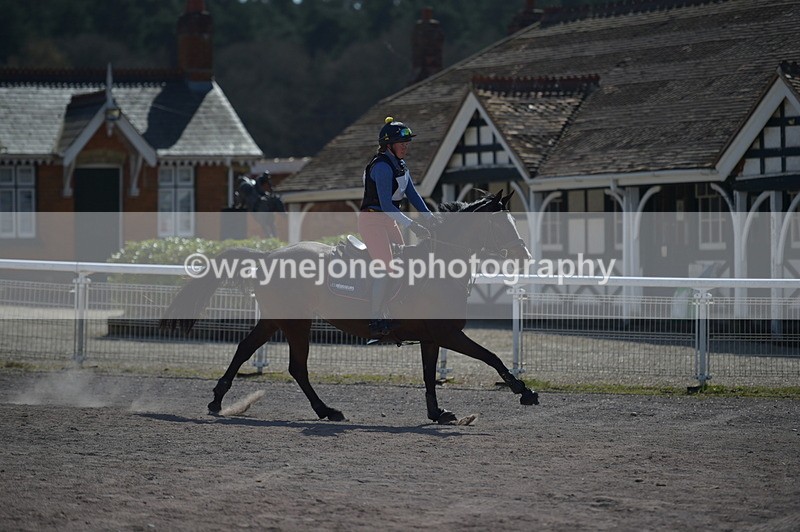 NGP_8241 - XC Time 13:29 to 13:34