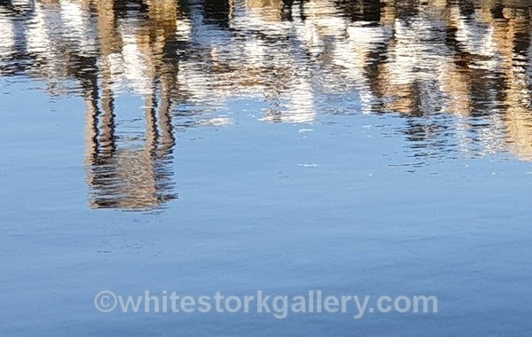  - NEW Winter Reflection