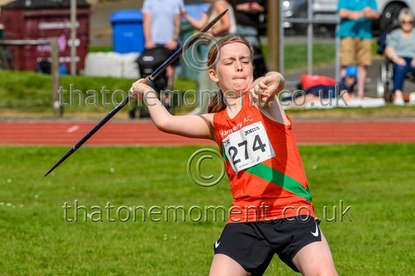 East25Sun-929407 - Field Male