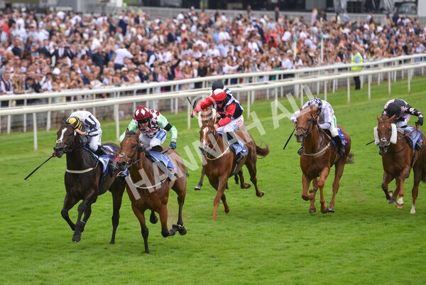 yr24072021r1-84 - Race 1 2.05pm Sky Bet Jump Jockeys Nunthorpe