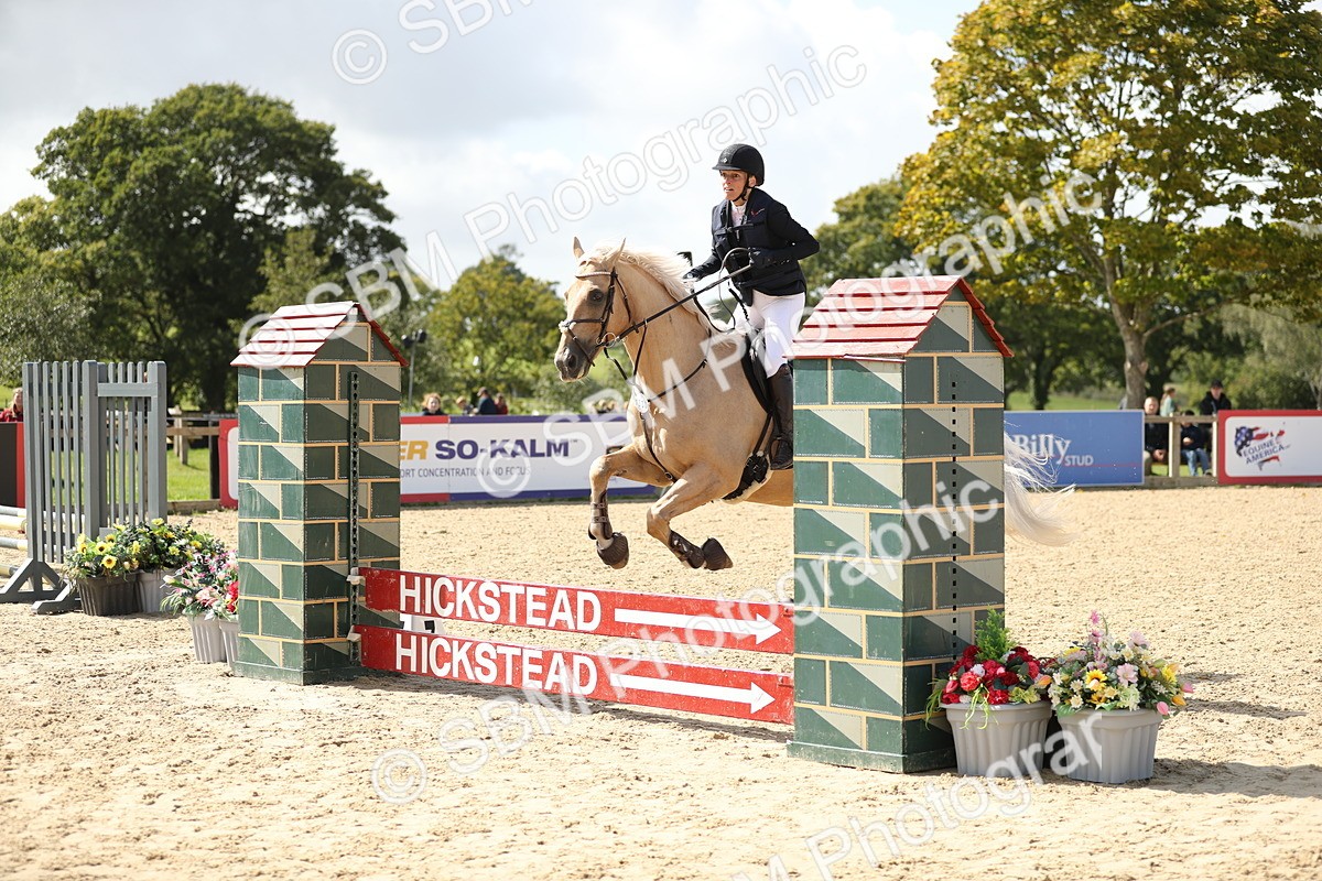 SBM_05740 - J35 - Veteran Rider 60cm