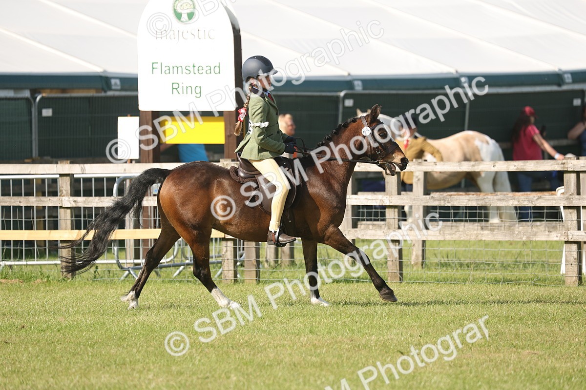 SBM_10201 - Class 33-38 - SSADL RIHS Qualifiers
