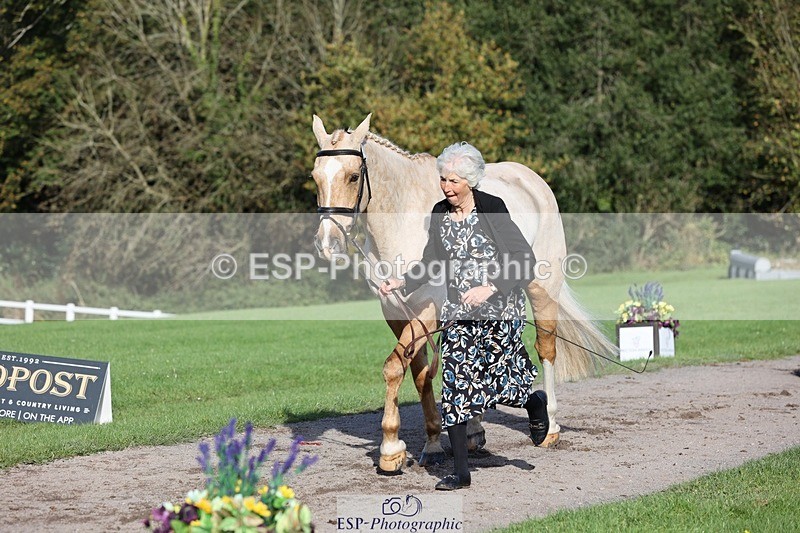 241027-103356-15968 - 519-Jane.Rogers-CORRIEVIEW.MERLIN.MAGIC