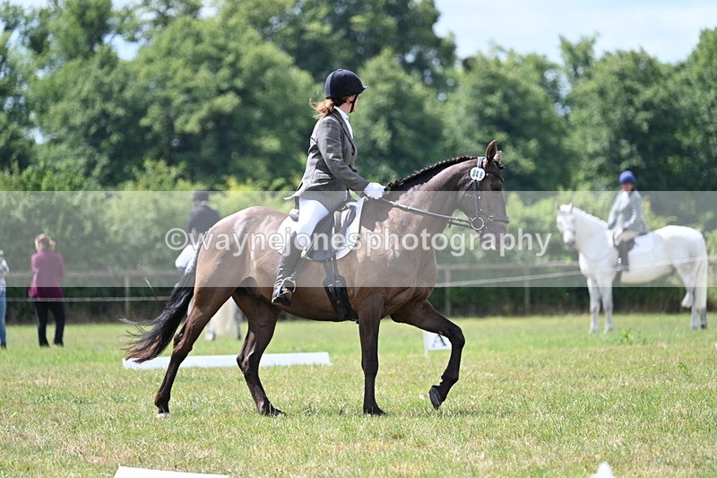 WJ7_4846 - Time 11:22 to 11:51