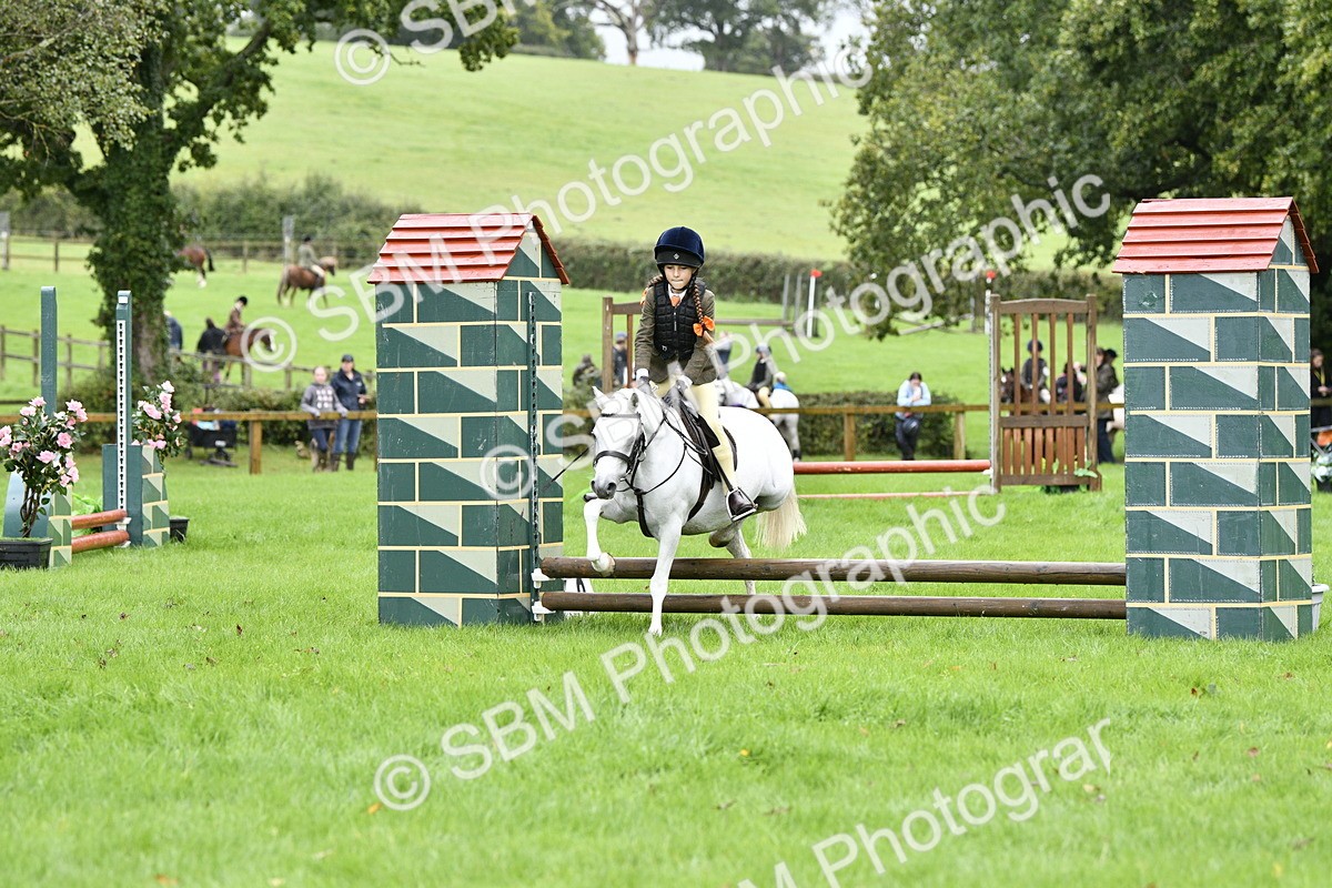 SBM_35455 - S30 - Nursery Stakes Working Hunter Pony