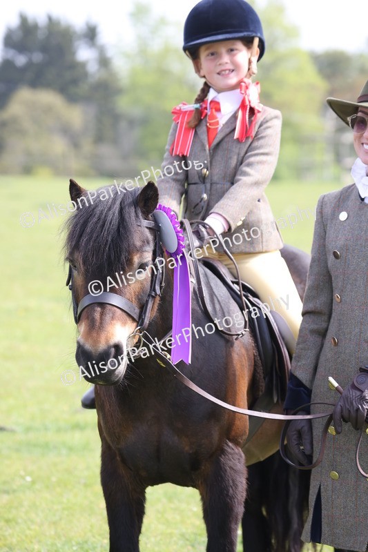 20260426-2639 - Class 31 - Leading Rein