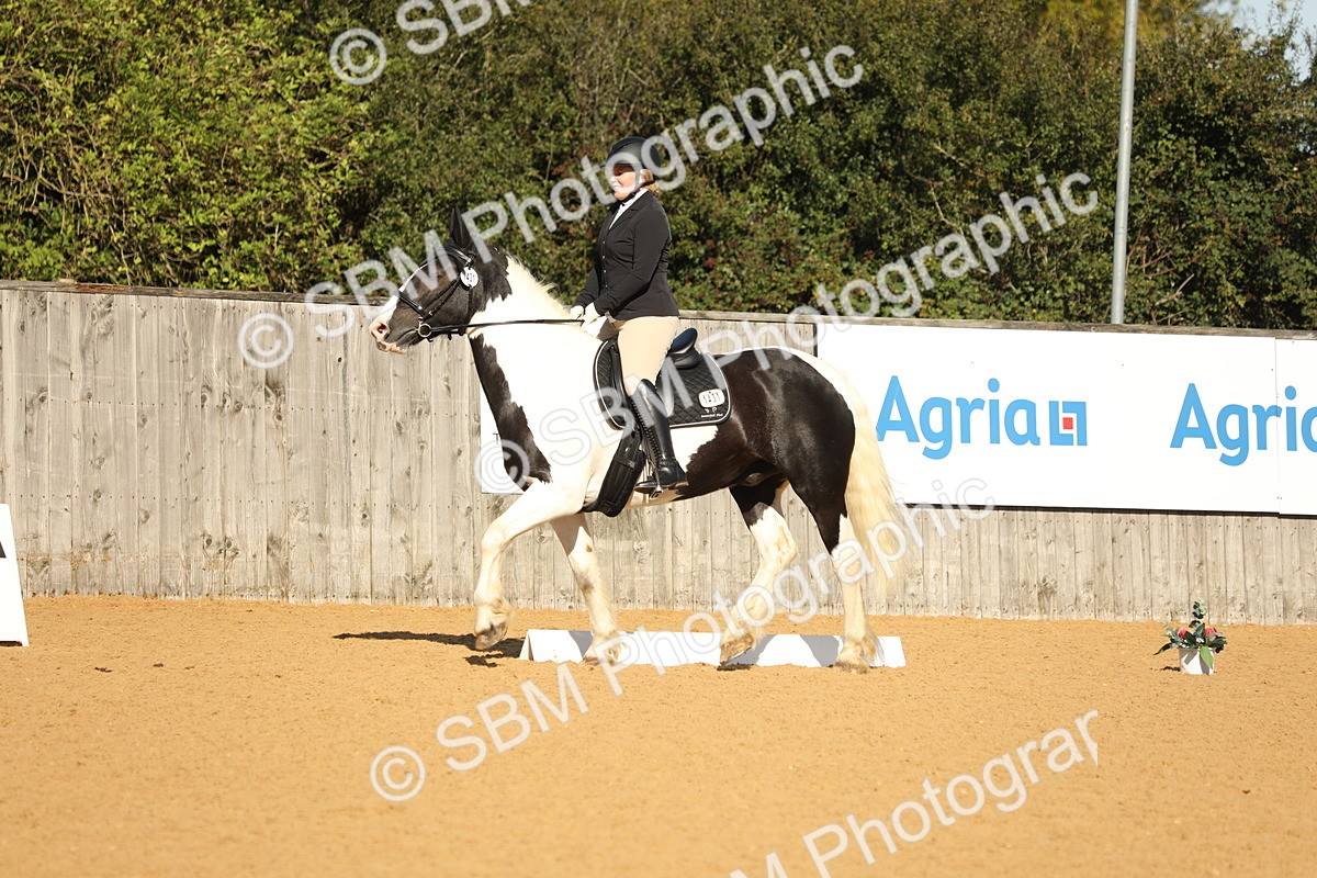SBM_16562 - D10 - Small Tour Championship - Prelim 2