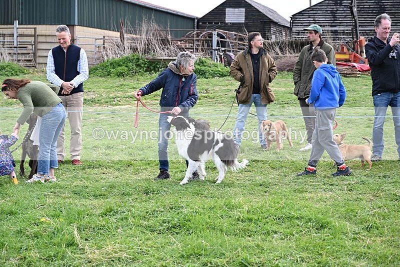 WJ6_8534 - Class 6 Best Rescue