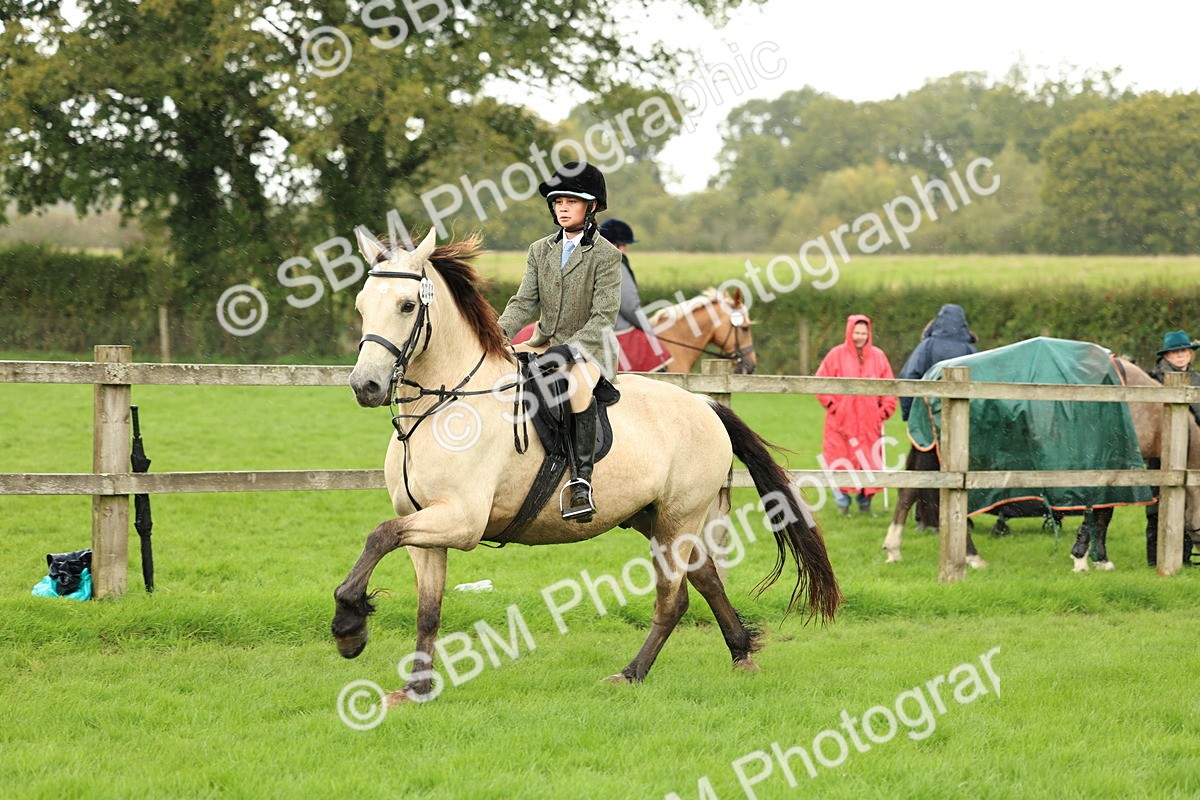 1I0A1506 - S32 - Mountain & Moorland Working Hunter Pony
