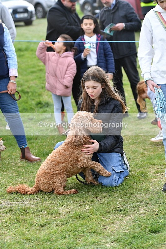 WJ5_0152 - Class 5 Best Veteran / 7 years & over