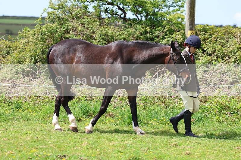 3E7A0432 - Class 20: Sports Horse