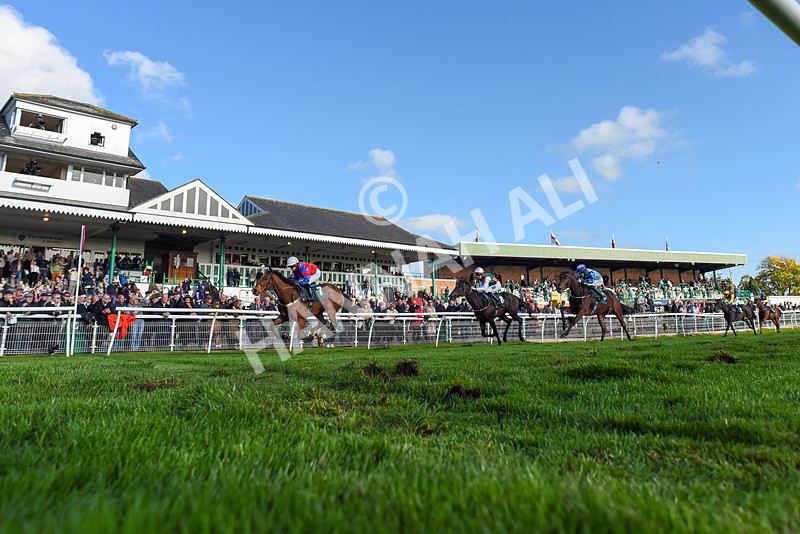 191024-Race 4-Three Dons-2169 - Race 4