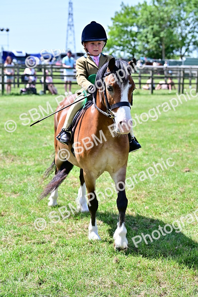 SBM_06132 - Class 59-60 - TSR M&M  Lear Rein and First Ridden Amateur of the year