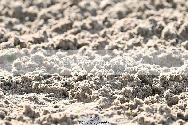 231105-105957-00868 - Cls 3 Prelim 12 9.54 to 11.10 break