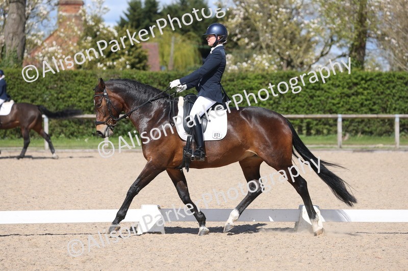 20260405-0604 - Class 7 - Medium 5