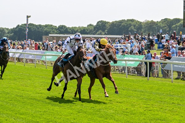 130625-Race 2-Carnation Queen-8639 - Race 2 2.25pm Coopers Marquees Rous Selling Stakes