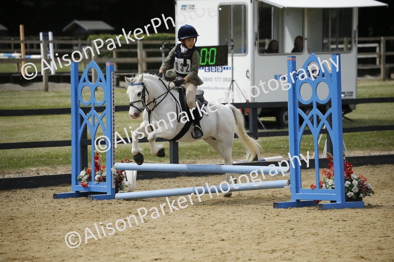 20250622-3969 - 50cm