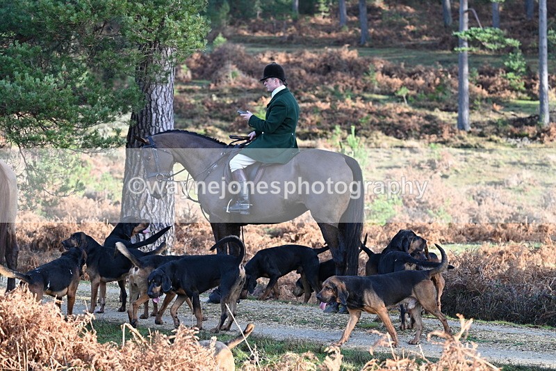 WJ7_7522 - Line 3 (no line 4 or 5)