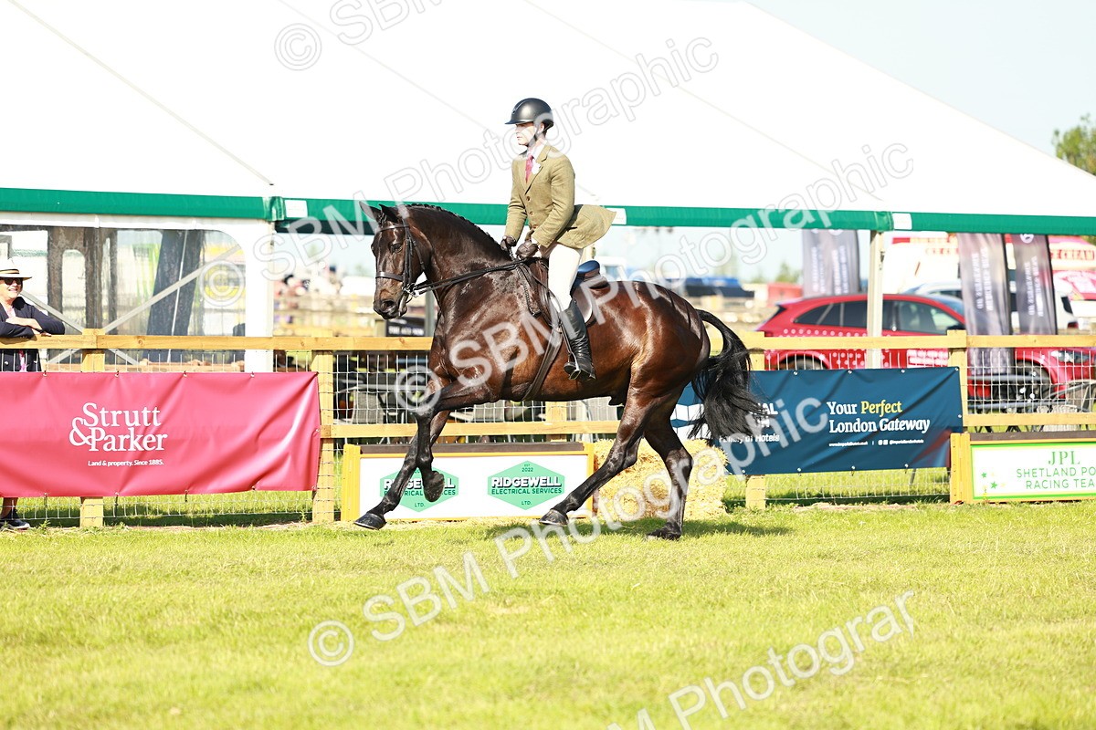 SBM_10933 - Class 66-69 - RIHS Ridden Hunters Inc Small Hunter