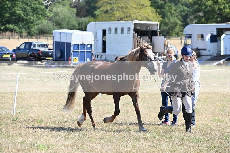 WJ6_4488 - Class 17 Mountain & Moorland