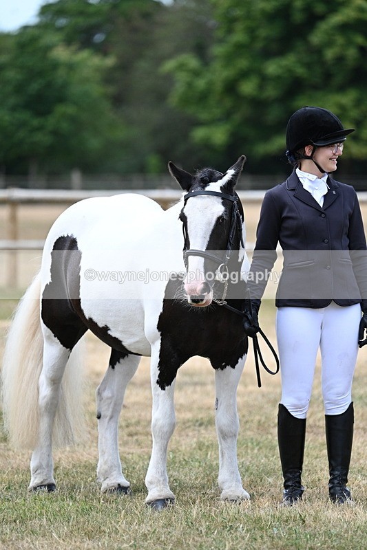 WJ7_1509 - Class 4 Prettiest Mare up to 14.2hh in hand