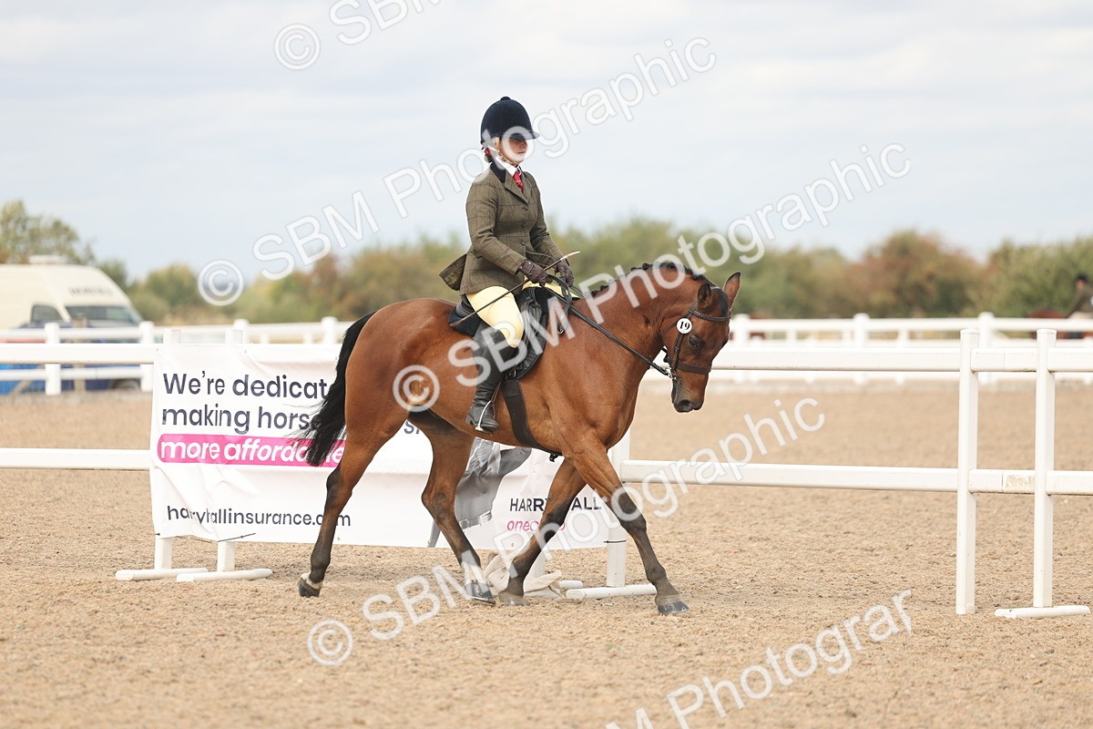 SBM_15954 - Class 311 - Ridden Show pony-Show hunter Pony