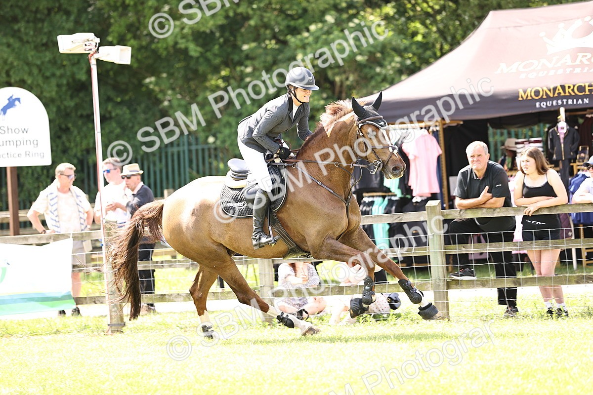 SBM_04014 - Class 201 - British Horse Feedds Speedi Beet HOYS Grade C