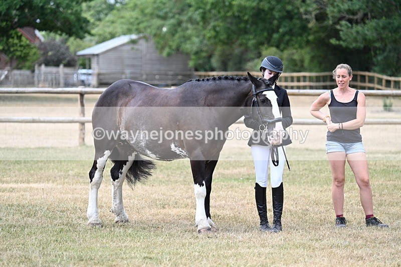WJ7_1847 - Class 4a Prettiest Mare 14.2hh and over hand