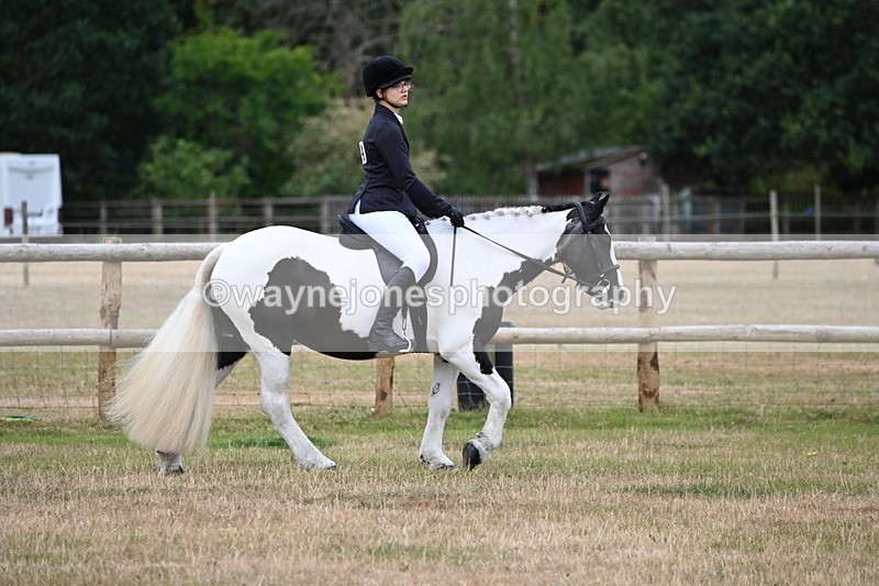 WJ6_3735 - Class 9 Tack & Turnout