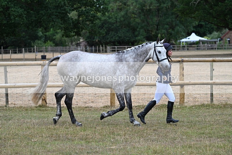 WJ7_8717 - Class 4a Prettiest Mare 14.2hh and over