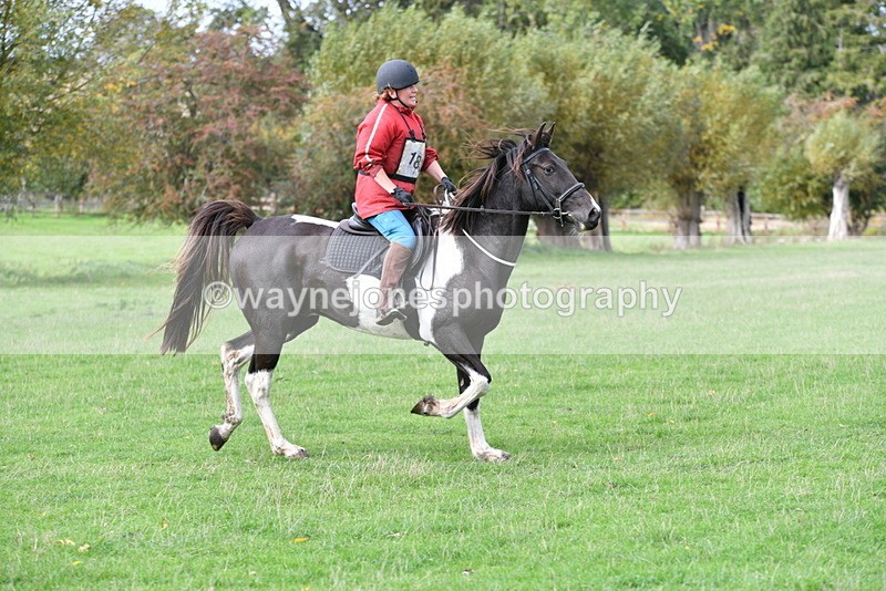 WJ5_9892 - Time 13:25 to 13:58