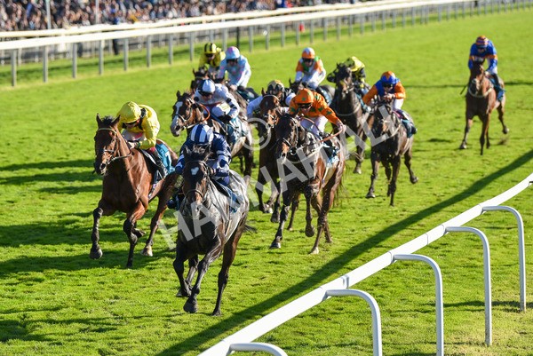 141023-Race 5-Certain Lad-1341 - Race 5 3.35pm Coral Racing Bet Bundles Handicap