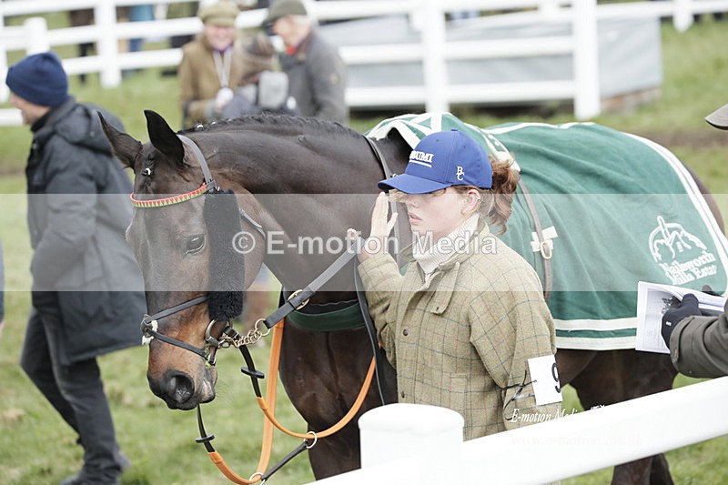 PtP 260323 0871 - New Forest Hounds Point-to-Point Larkhill 26/03/23