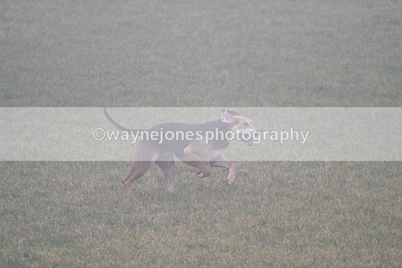 WJ7_3151 - A camera