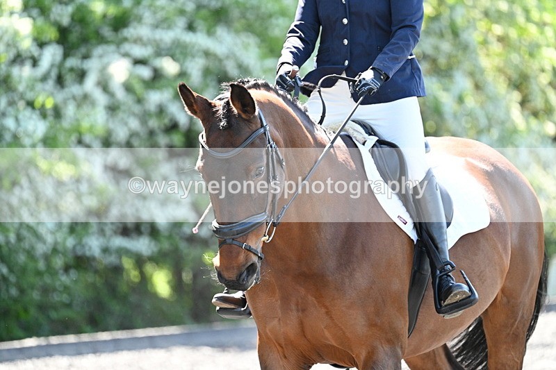 WJ7_9764 - Time 12:24 to 12:36