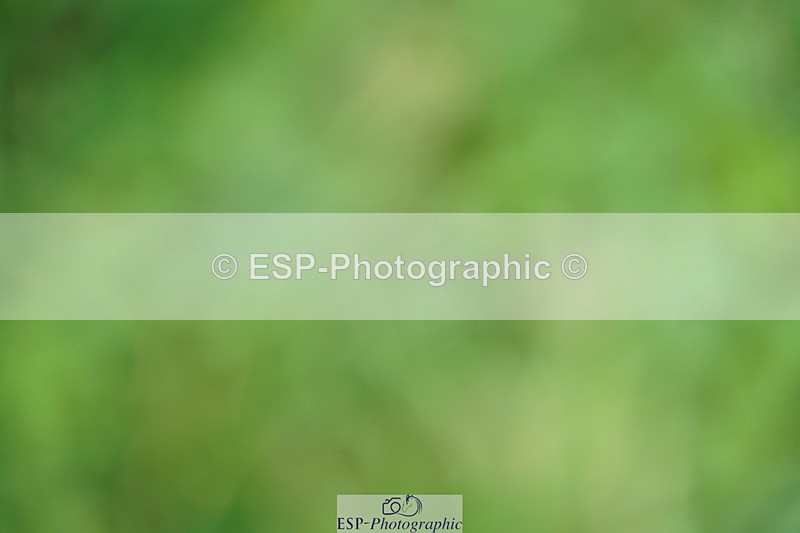 240802A-161124-05720 - Cls 19 National 1.30m Open