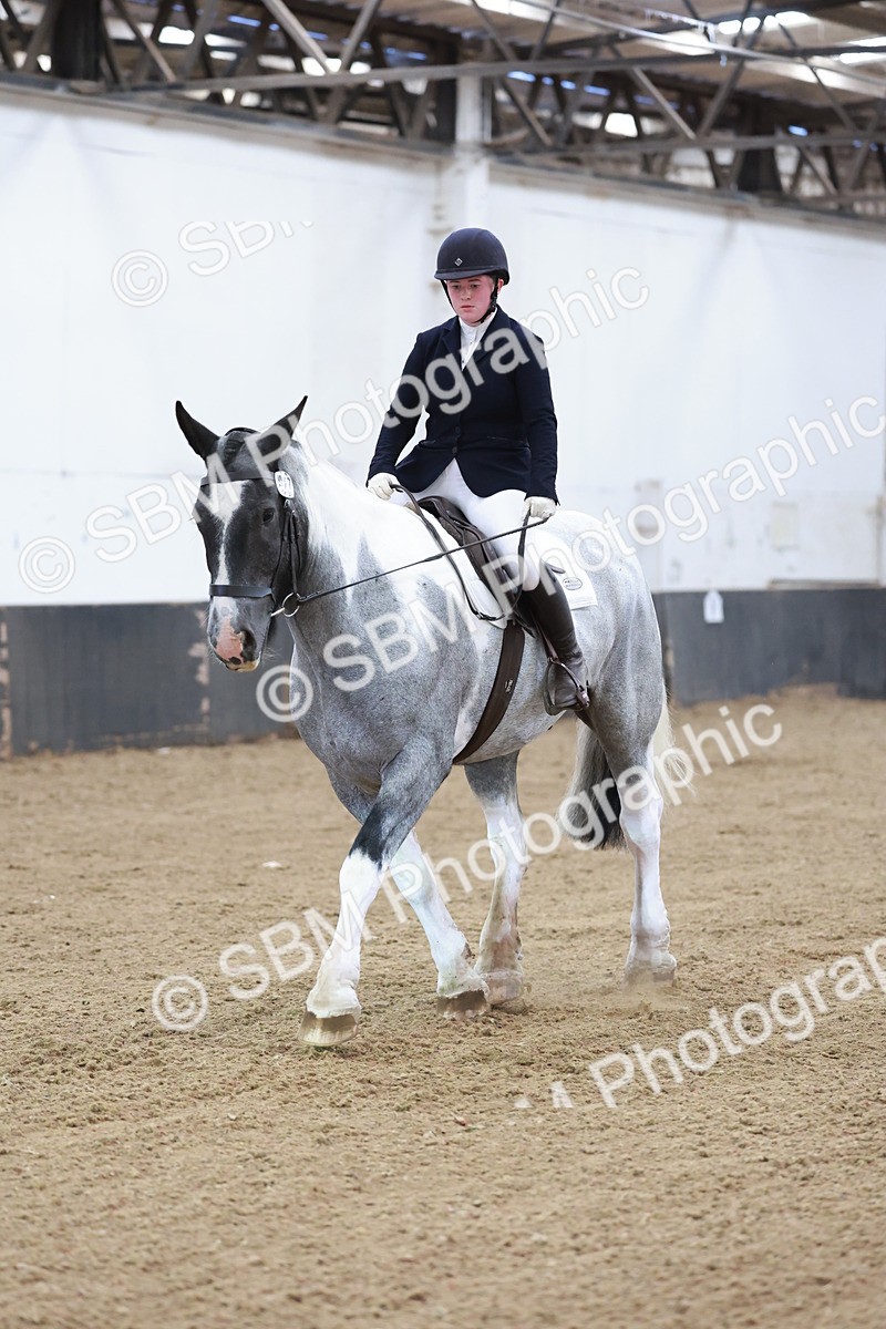 SBM_003920 - Prelim 2