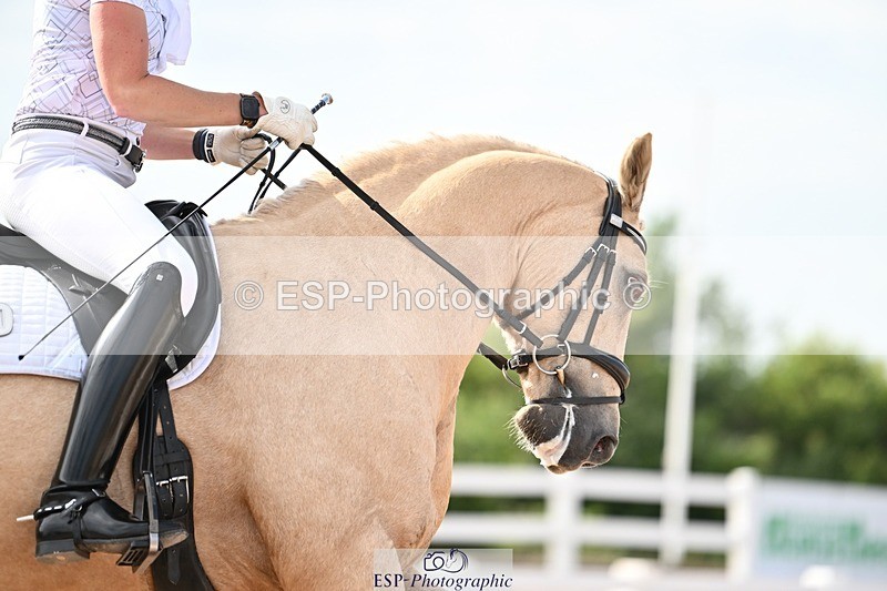 250620-172447-04967 - BD Cls 14 - Adv Medium 6