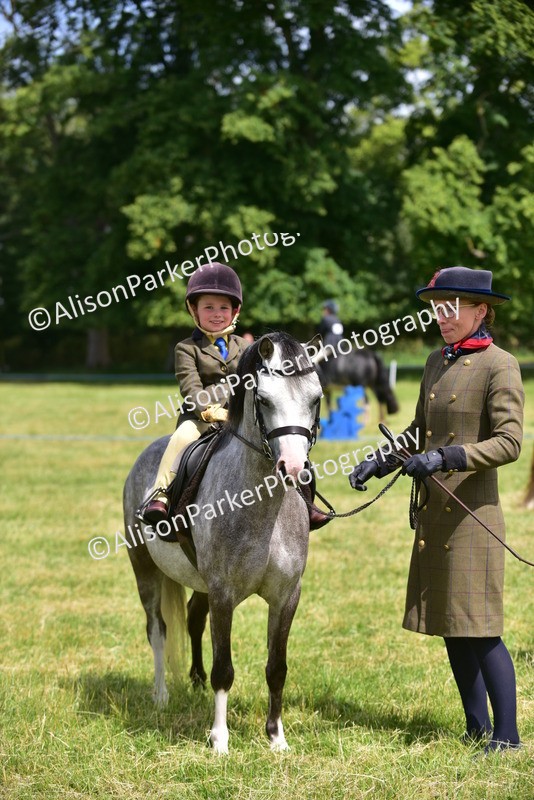 20260614-1283 - Class 11a - Lead Rein Pony (Unplaited)