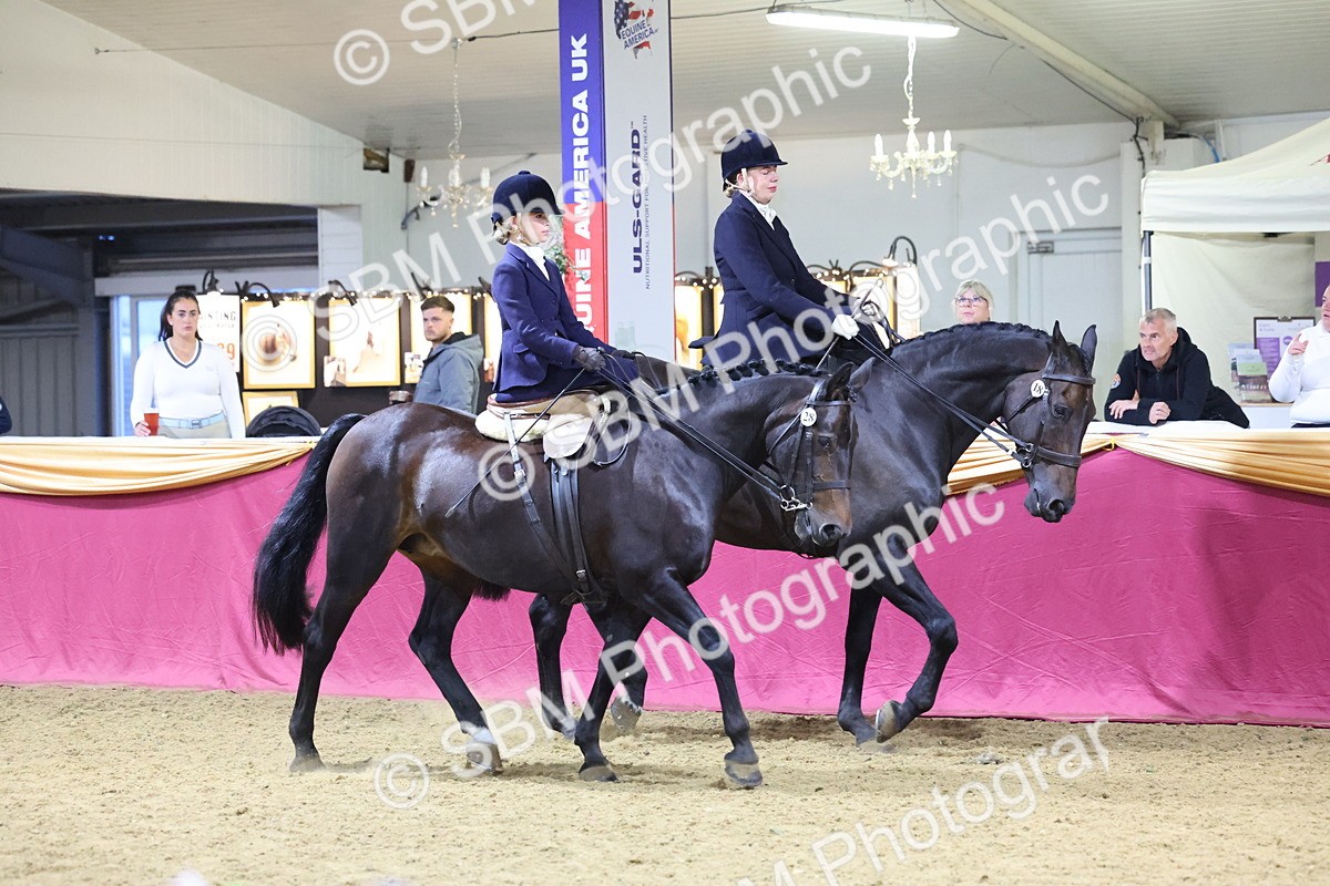 0B8A4316 - Class M Ridden Pairs Champ