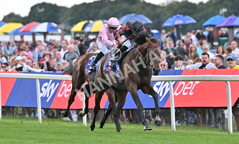 190826-075 Maltese Cross - Race 3 15.00pm Sky Bet Great Voltigeur Stakes